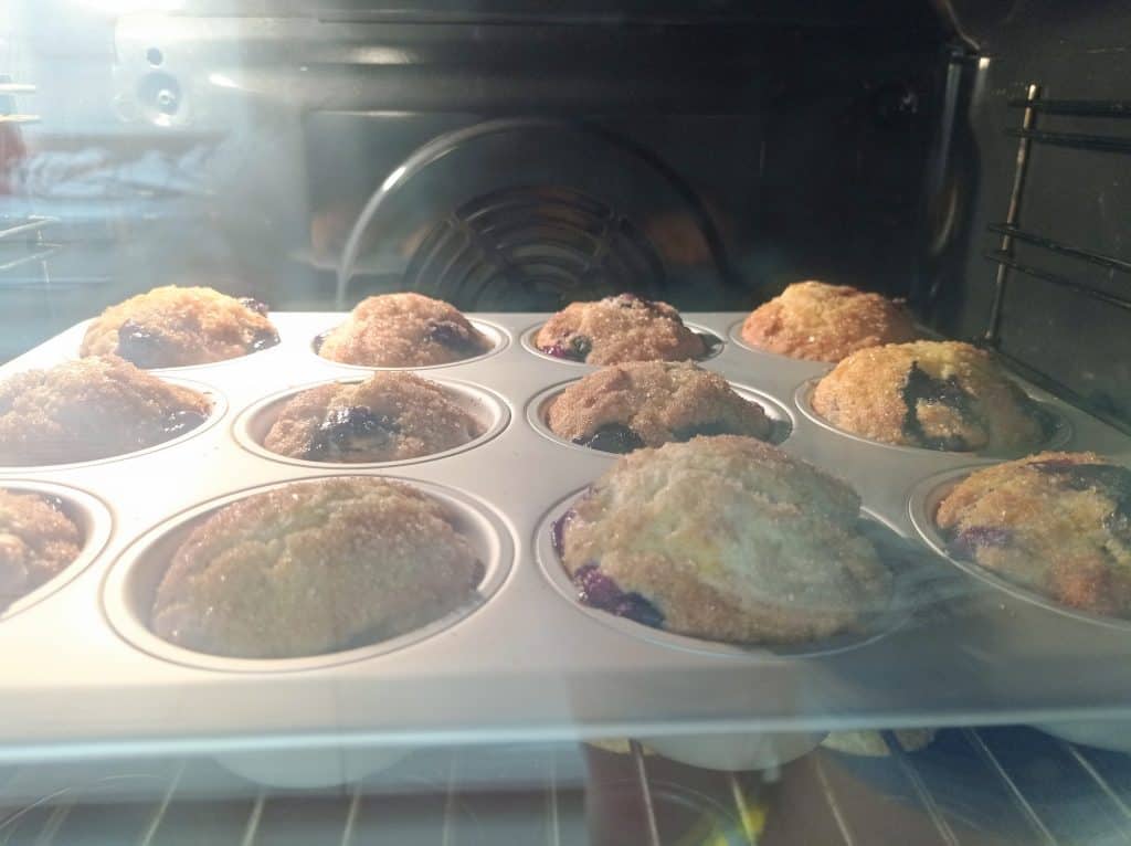 muffins de arándanos en el horno